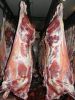 Frozen Beef Meat FOB R...