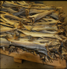 Fish Frozen,dried fish