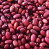Canned Red Kidney Beans in Tomato sauce 
