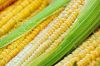 New Crop Yellow Dehydrated Vegetable Sweet Corn Kernel With Best Quality 