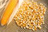 New Crop Yellow Dehydrated Vegetable Sweet Corn Kernel With Best Quality 