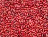 Canned Red Kidney Beans in Tomato sauce 
