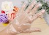 Disposable Hand Gloves PE Gloves Clear in Vinyl Powder Free for Cooking Cleaning Restaurant Clinic Factory Workshop Laborat