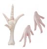 Grade AAA Frozen Chicken feet / A-grade chicken feet / Chicken paws