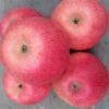 Fresh Natural Fuji Apples with Taste of very Sweet Crispy