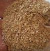 Best quality wheat bran for animal feed