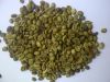 Robusta Green Coffee B...