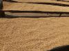 Arabica Green Coffee B...