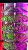 LEAFY PLANT SEEDLING MICROGREEN VEGETABLE GROWING MACHINE NURSERY TRAY INDOOR SOILLESS VERTICAL SYSTEM SMART VEGETABLE FRUIT LETTUCE HYDROPONIC PLANTER