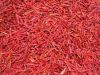 dried red chilli pepper