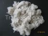 Cotton Card Waste (Lic...