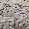 pumkin seed lady nail/pumkin seed fingers mrs for wholesale