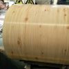 ppgi,ppgl,steel coil