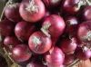 RED ONION 