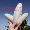 HOT SALES 2019 - SEA SLEEVE BONE/ CUTTLE FISH BONE/PETS/TURTLE  Ms.Luna +84 357 121 200