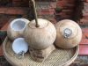 Fresh young coconut water