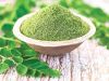 100% high quality organic Moringa leaf extract powder/ Ms.Luna +84 357 121 200