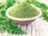 Miracle plant organic moringa oleifera leaf powder for buyers free sample/ MS. Selena +84 906 086 094