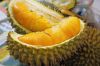Frozen Durian Fruit Vietnam- Our best products/Tropical fruit WhatsApp +84 347 436 085