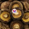 VIETNAM DRIED SHIITAKE MUSHROOM BEST QUALITY CHEAPEST FACTORY PRICE WHOLESALE / MS SERENE