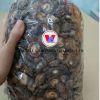 VIETNAM DRIED SHIITAKE MUSHROOM BEST QUALITY CHEAPEST FACTORY PRICE WHOLESALE / MS SERENE