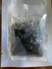 sea grapes latok green caviar seaweed nori from Vietnam//Ms. Julie +84767799825
