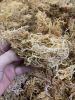 Sea Moss with high quality +84944439979 Brian ( whatsapp)