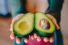 Freshly Harvested Avocado