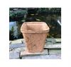 Coir pot garden for plants cheap price coir pot