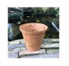 Coir pot garden for plants cheap price coir pot