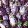 FRESH EGGPLANT Fresh W...