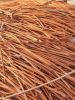 Bare Bright Copper Wir...