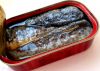 Canned Sardine