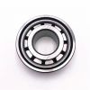 Cylindrical Roller Bearing NU2204E with High Load