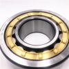 Cylindrical Roller Bearing NU2204E with High Load