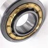 Cylindrical Roller Bearing NU2204E with High Load