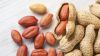 Europe Groundnut with ...