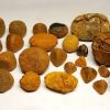 Ox Gallstones