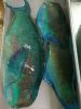 Parrot fish fresh whole round wgs wggs