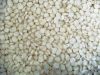 Dry white corn grains