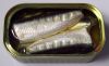 Canned Sardine in Brine- Canned Tuna- Canned Mackerel 