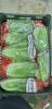 Fresh Romaine lettuce