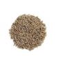 Dried Cumin Seeds For ...