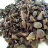 Hot Sale Palm Kernel a...