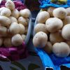 Organic Fresh Russet P...