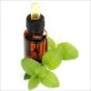 Patchouli Oil (Pogoste...