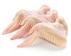 FROZEN CHICKEN WINGS/W...