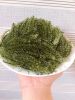 DEHYDRATED SEA GRAPES/ SEAWEED WITH BEST PRICE FROM VIET NAM