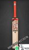 ENGLISH WILLOW HARD BALL BAT PUMA woodworm practics cricketergear bat