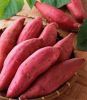 fresh potatoes sweet